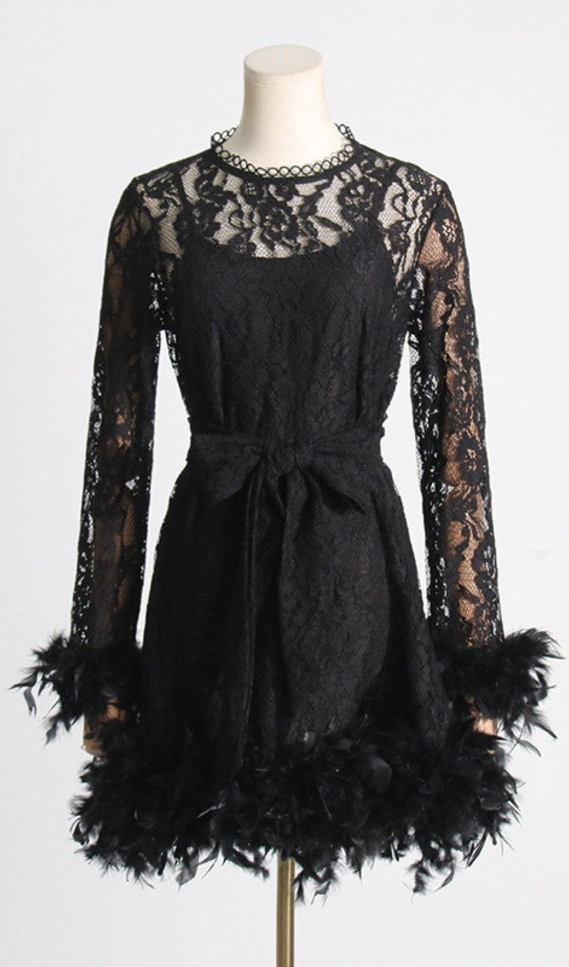 FEATHER TRIMMED LACE DRESS
